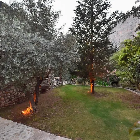Kidrak Villas Villa
